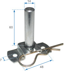 Plate with Ø14 removable pin