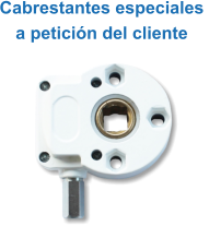 Cabrestantes especiales  a peticin del cliente